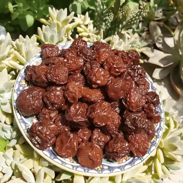 تصویر 5 از خرید آلو خشک صادراتی + قیمت عالی باکیفیت